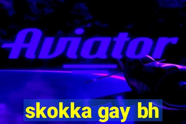 skokka gay bh